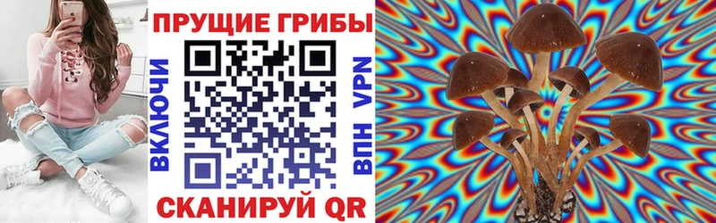 shop официальный сайт  купить   блэк спрут ССЫЛКА  Полярные Зори  Псилоцибиновые грибы мухоморы 